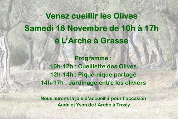larche-grasse-cueillette-olives-2019-arche-handicap